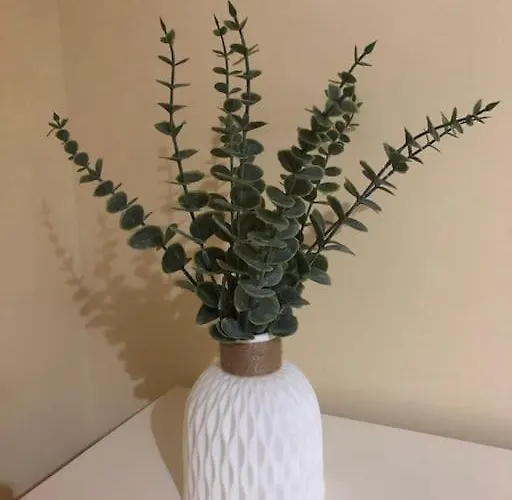 Entre Y Atapuerca בית נופש *